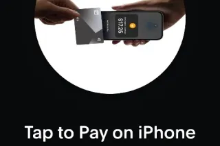 🎄☃🪩🪽🐎New Mini Stallion 🐎🪽 🪩☃🎄 - Image 2