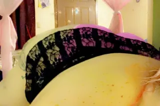 Im Back..BBbw.Ready - 42 - Image 1