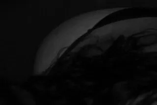 🌸La Bori🌸 - Image 7