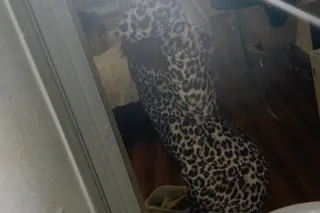 COME KEEP ME WARM ❤ - Image 5