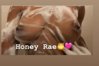 Rae🍯 INCALLS &amp; OUTCALLS - ... - Image 1