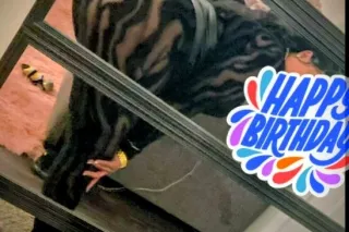 Addictive &amp; Slutty🤤🫦💦 Your Best SoulTaker 🤪🍆💦5⭐🎂💦💦 Come Wish your fave💦😛 A Happy Birthday🎂🎉 - Image 5