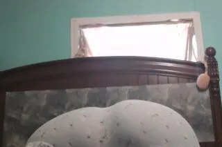 snow bunny - Image 5