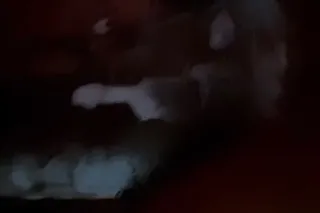 2 NUT SPECIALS 🌸PROBLEM SOLVER... - Image 2