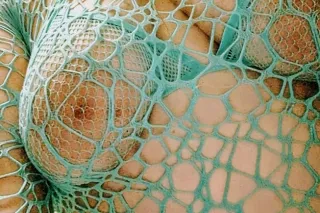 𝕥𝐎ᵈａу𝐒 ａ ήέᗯ ᵈａу, 𝔠𝐎𝓂έ 𝐒έέ 𝓂έ 𝔽𝐎𝔯 ａ 𝐒𝓂𝓘lέ!!! 𝒮𝑜𝒻𝓉 𝒮𝑒𝓍𝓎𝓓𝓻𝓮𝓪𝓶 - Image 12