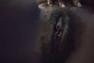 Back by popular demand - 28 - Image 2