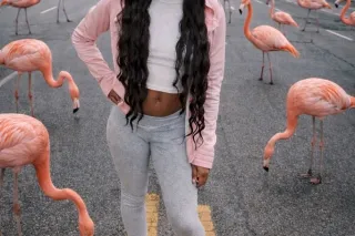 Qvs$100Bbjs$80 - 29 - Image 4