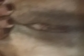 My Titties will amaze you. 100... - Image 1