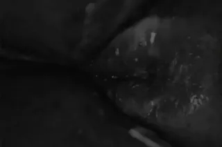 BBW QUEEN💗😩 ***80$QV SPECIALS*... - Image 1