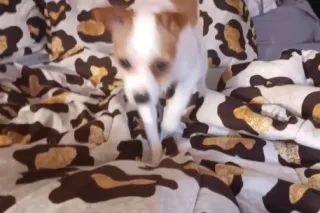 blonde and fine - Image 7