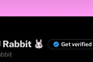 Ebony J Rabbit 🐰 - Image 6