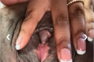 FACETIME SHOWS🎥📽PHAT PUSSY - 2... - Image 3