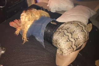 make me take it all - 44 - Image 1