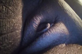 🔥 CAR DATE $60 SEX AND BJ 🔥 - Image 7