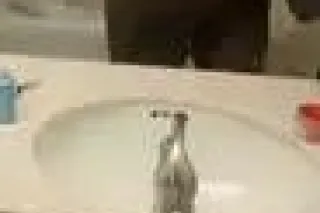 🫦👑 Thick && Juicy CHOCOLATE🍫🍬 ... - Image 4