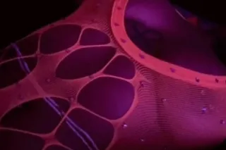 LUXXXX 💸 - 21 - Image 1