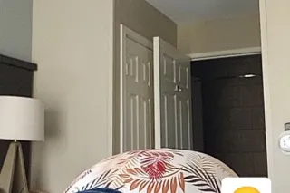 AVAILABLE 24/7☎💦👅OUTCALL$ 📞☎🏨HORNY WET AND SLIPPERY 😋💋💦ARE YOU DOWN TO HAVE SOME FUN WITH A MIXED LATINA PRINCESS⁉ASK ABOUT MY EARLY VALENTINES DAY SPECIAL💝💦👅 CAR FUN🚘🫦👅DON'T KEEP ME WAITING BABY💦👅📞 - Image 8