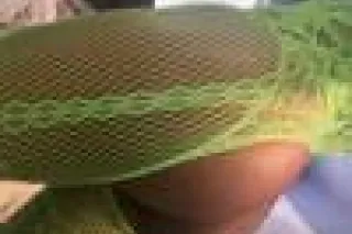 in The Area DOWNTOWN INCALL ,O... - Image 1