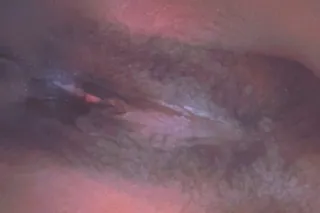 Available now in College Park ... - Image 1