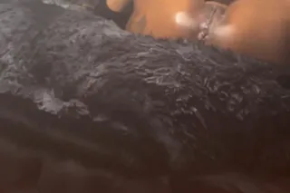 come have some fun - 24 - Image 2