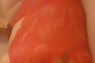 southern belle - 28 - Image 4