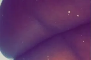 New to the city sexy bbw - Image 2