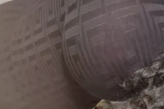 GOOD MORNING 🌞 SEXY GODDESS VI... - Image 2