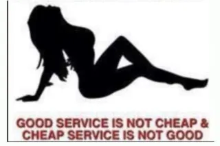 SANTA'S LIL HELPER STOPPING IN... - Image 1