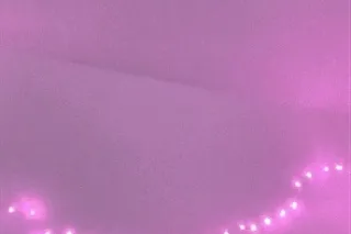 Spend your Saturday in Bliss😇 ... - Image 1