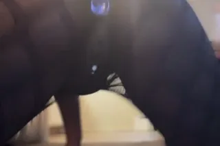 im bck like i never left - 25 - Image 1