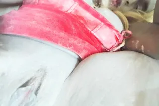 Exotic & Petite - 21 - Image 2