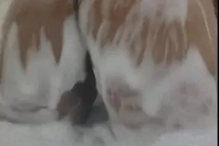 ❤ "Cum on OVER and SLUT ME OUT right NOW" ❤ and 💕! ((I GOT SOME BIG ASS TITIIES, a Big BOOTY and a CREAMY TIGHT PUSSY TOO))💯 - Image 6