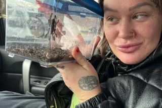 touring - 26 - Image 4