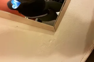 your wish is my command big da... - Image 1