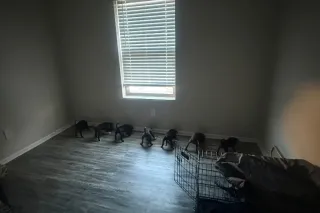 RIVER OAKS💦🥇AM warm pussy. $50... - Image 3