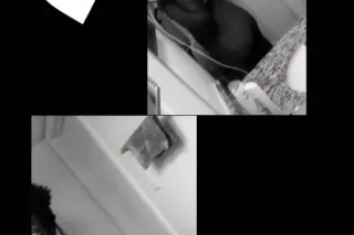 (DO NOT CALL ME ) Text me (I'm not mobile) - Image 1