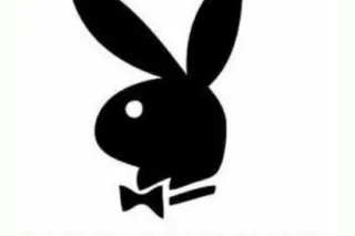 They love the chocolate drip 🍫😜 - Image 5