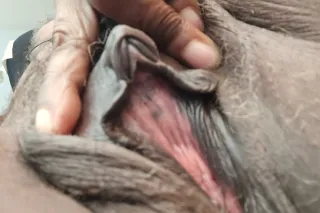 sexy sue is back NEW NUMBER - ... - Image 4