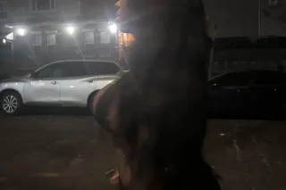 ethiopian goddess w/ a car (OU... - Image 2