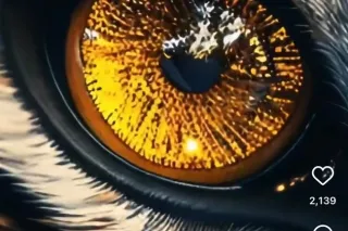 🕉🕉🕉🕉🕉🕉🕉🕉🕉🕉🕉🗺🗺🗺🕉🕉all reql🗺🗺🗺🗺🗺🗺🎬 - Image 9