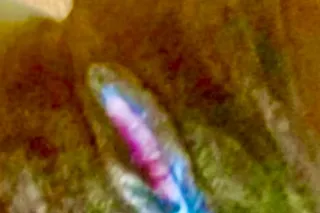 80 ss located on ,allentown road 😘💦greek/anl ss 250 - Image 6