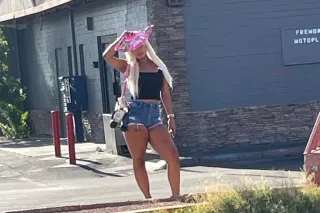 Sweet, Discreet Companion Near... - Image 3