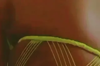 💥💥JUICY DA 🤯GRIPPURR💥💥✨☁🔮Avαiℓαbℓe ℕ𝕠𝕨 ➜ 📱 💕 𝙽𝙾 𝚁𝚄𝚂𝙷 💗 #⃣1⃣ 𝘊𝘏𝘖𝘐𝘊𝘌 ⭐ 🦋 𝕋ℍ𝕀ℂ𝕂 and ℙℝ𝔼𝕋𝕋𝕐 🌸 - Image 7