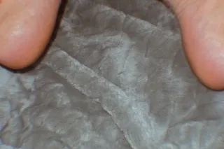 🍒𝓜𝓘𝓢𝓢 𝓙𝓤𝓘𝓒𝓨𝓨 𝓘𝓢 𝓑𝓐𝓒𝓚⌛ⓐⓥⓐⓘⓛⓐⓑⓛⓔ... - Image 4