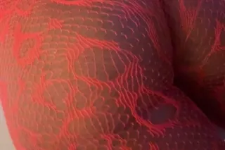 Tis the Season 🥂Lady of Lesiur... - Image 1