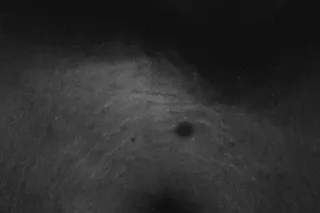 MS.MAKEITDISAPEAR - 21 - Image 2