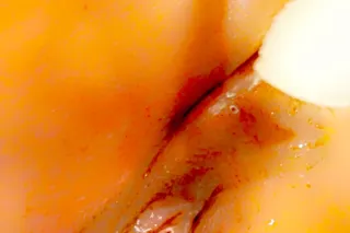 im her looking for a bad bitch... - Image 3