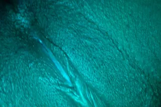 🍑🍫💲Chocolate 🍫 Goddess Dream 😍... - Image 4