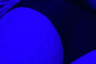 WhiteChocolateCoveredStrawberr... - Image 1