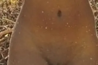 Here for a fun time not a long... - Image 2